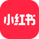 女士连裤袜丝袜图片